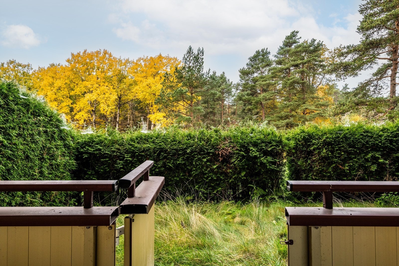 DSC_8911-Edit.jpg Galleribilde