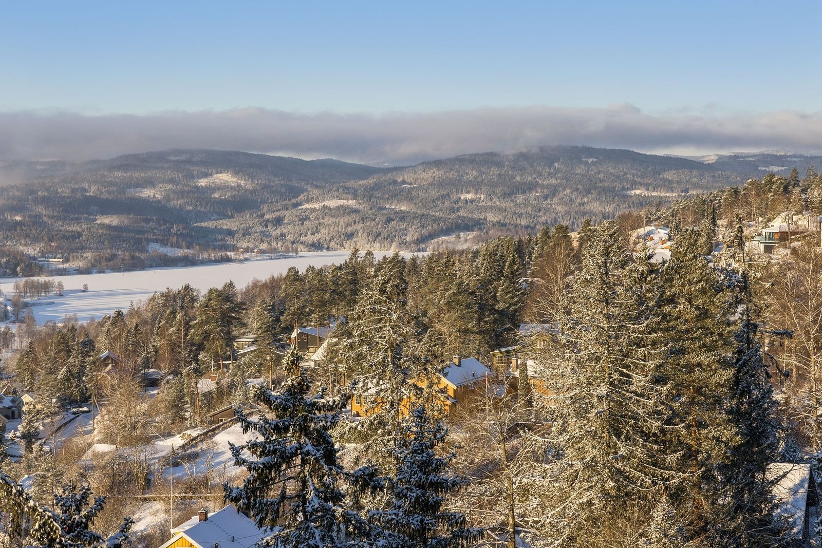 Utsikt. Galleribilde