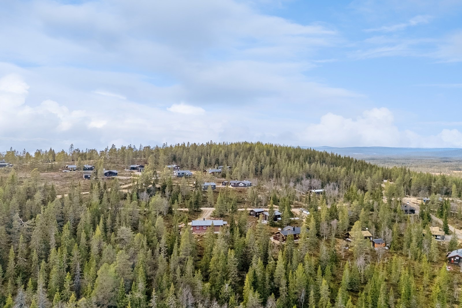 Sommerstid byr Ringsakerfjellet på et rikt utvalg av turstier, samt fiske- og badevann som gir muligheter for avkobling og aktiviteter i naturen Galleribilde