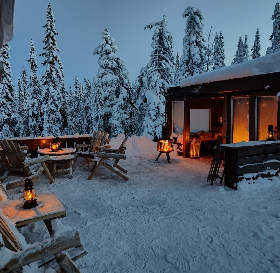 Selgers eget bilde Galleribilde