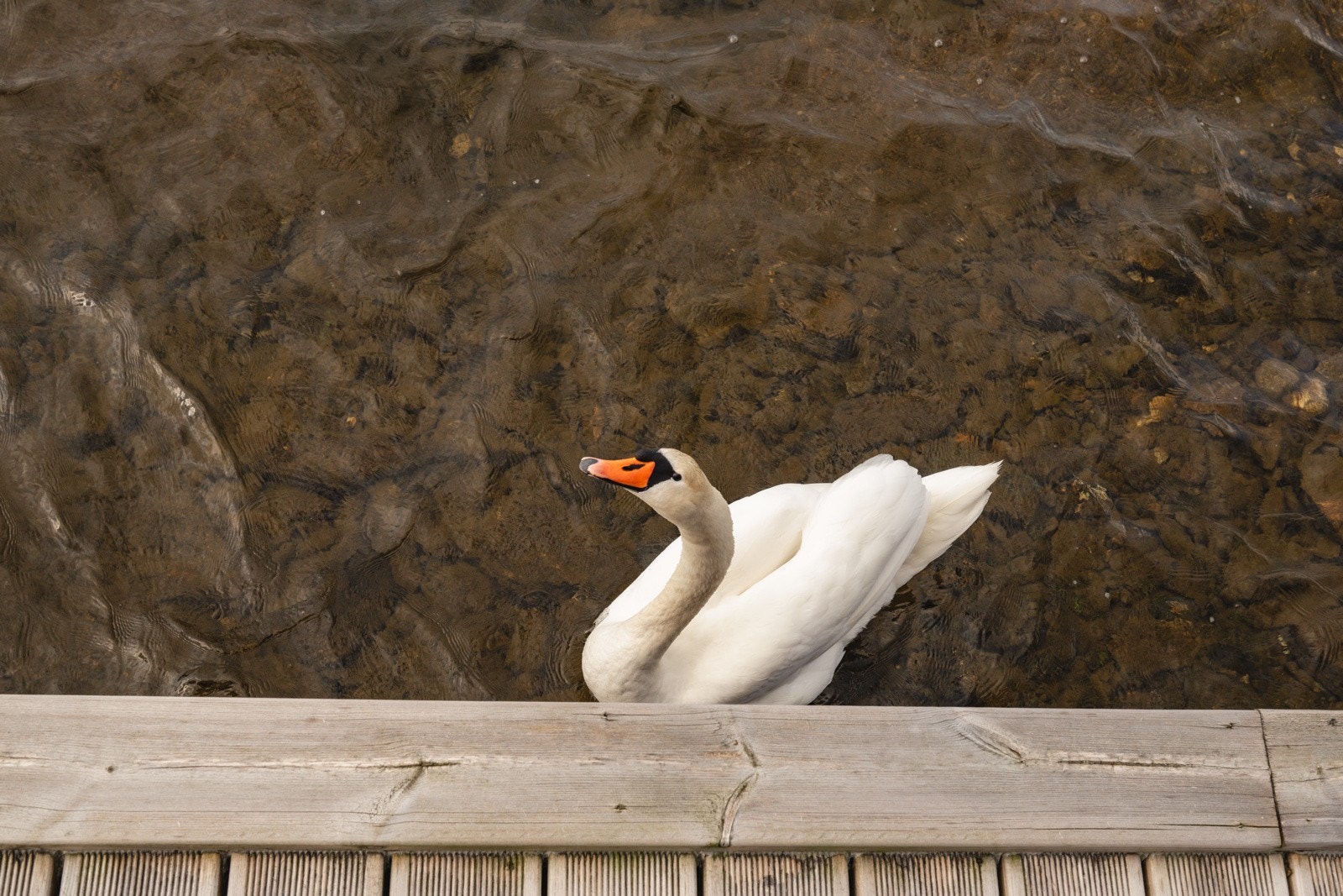 Tysværvegen 23 (40) Galleribilde