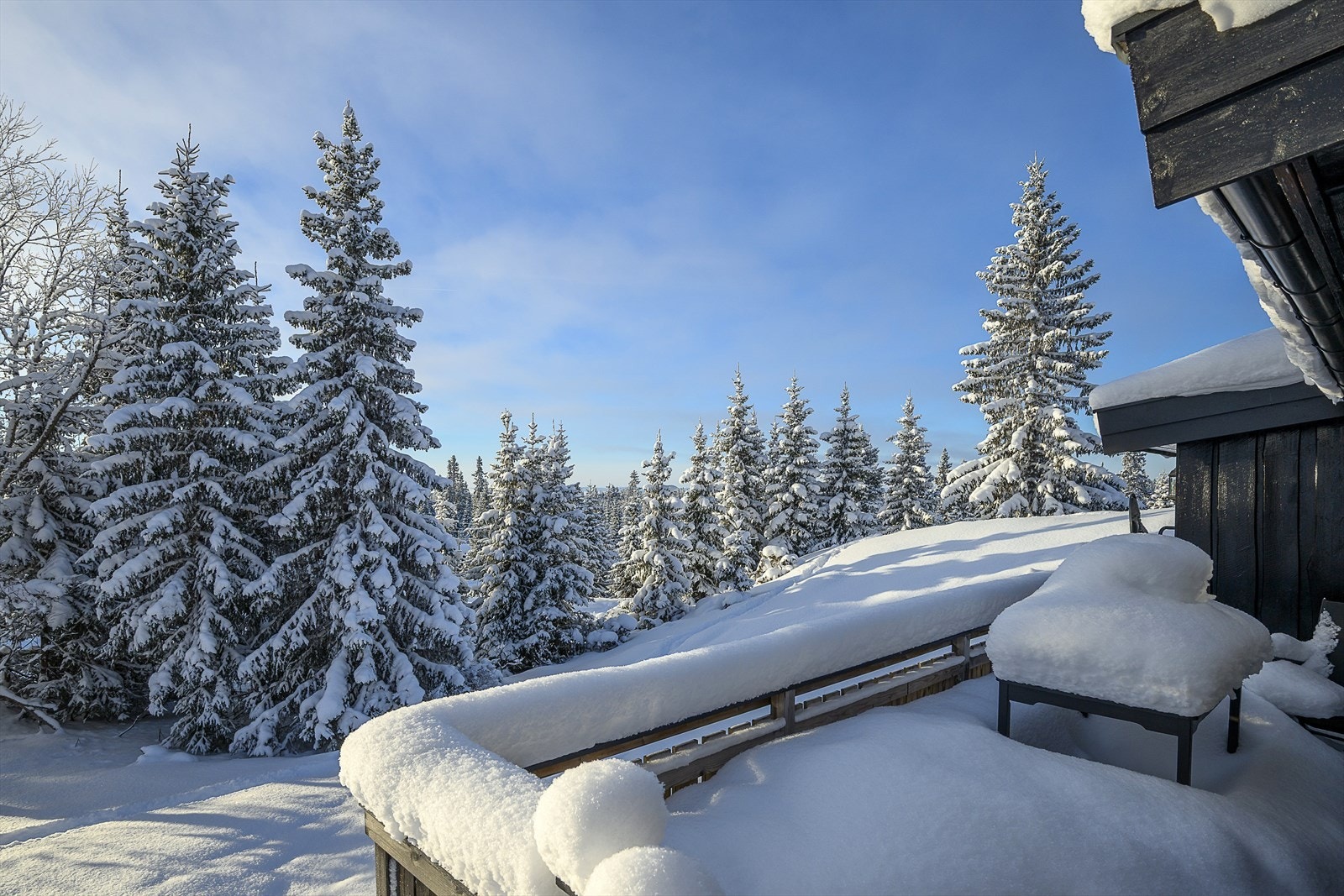 Hyggelige omgivelser utenfor den romslige verandaen. Galleribilde