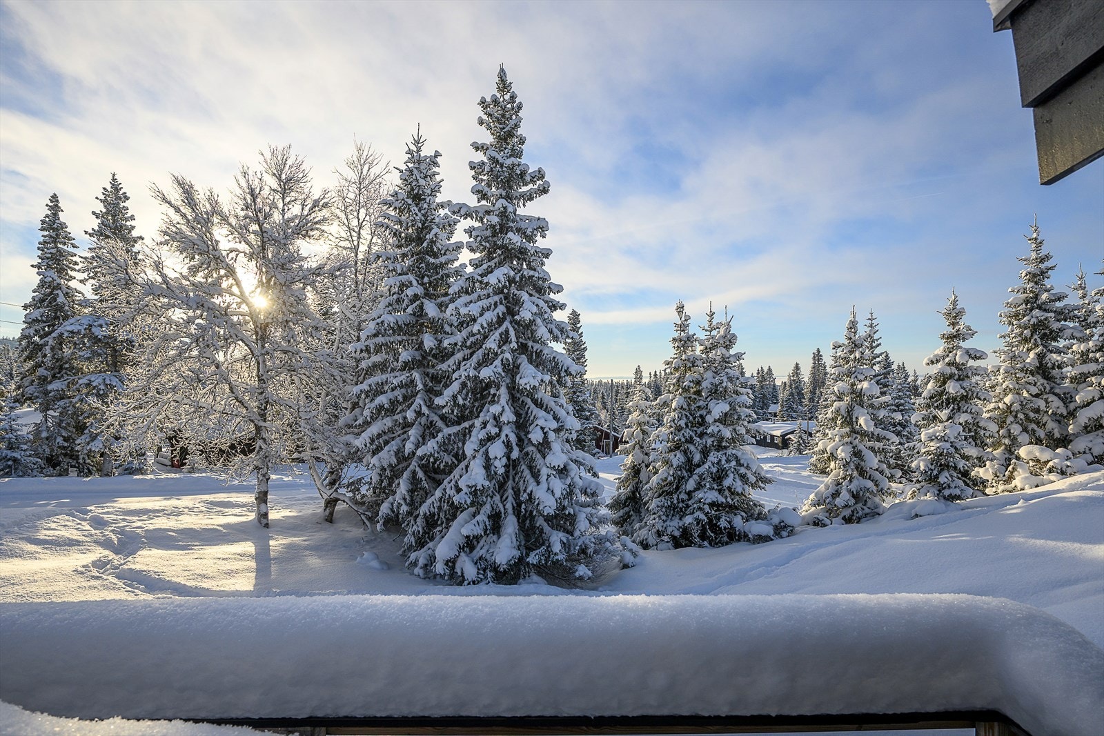 Et hyggelig sted å slappe av i solveggen. Galleribilde