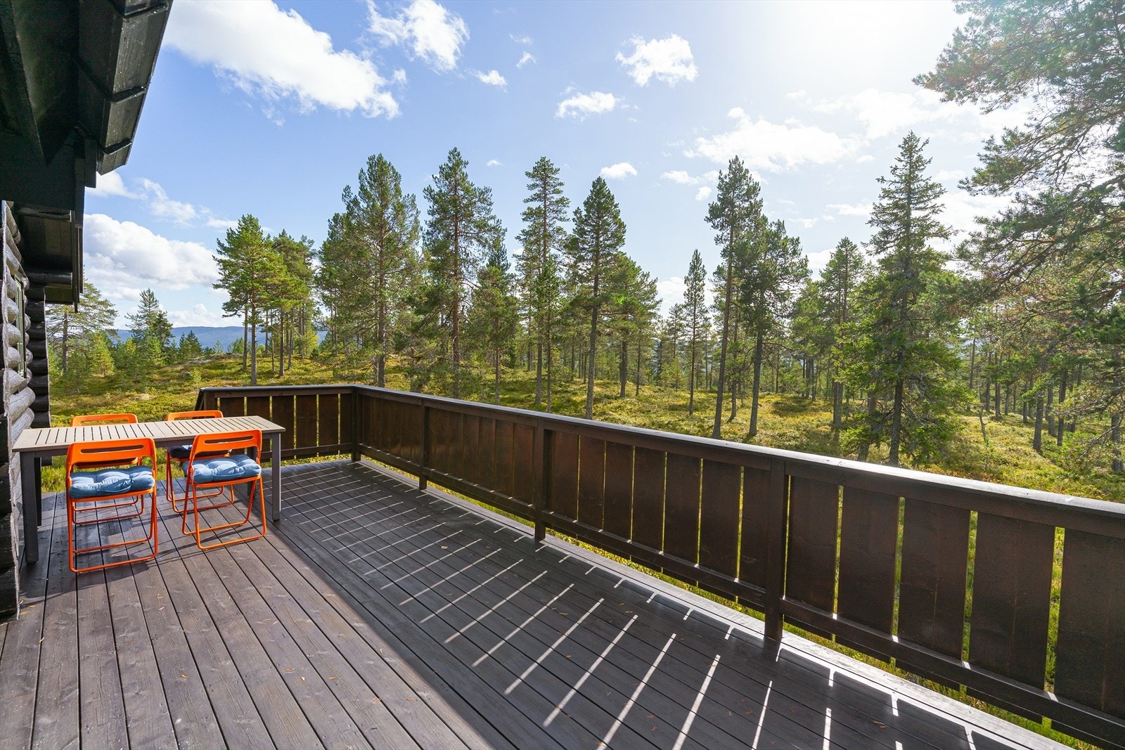 Sommerbilder av eiendommen. Galleribilde