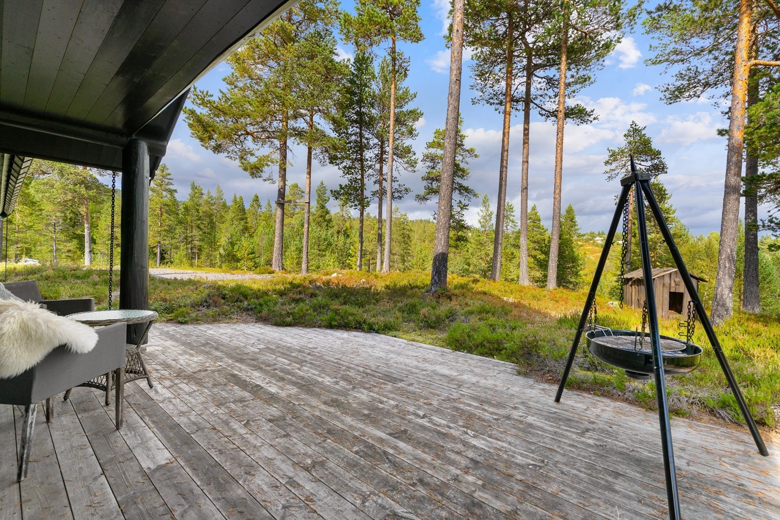 Sommerbilder av eiendommen. Galleribilde