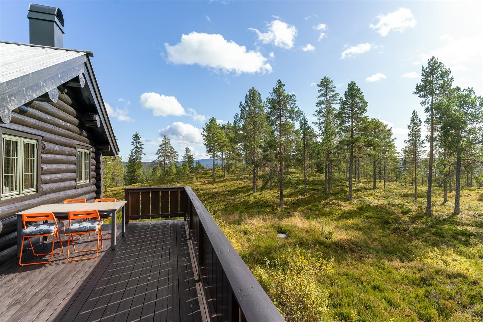 Sommerbilder av eiendommen. Galleribilde