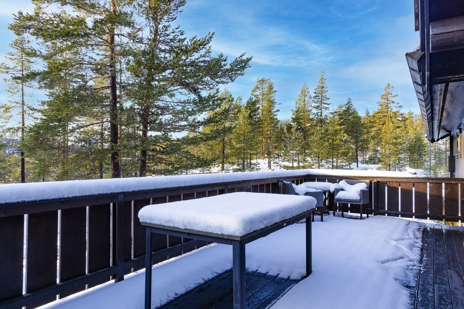 Terrasse på motsatt side av hytta - usjenert, med minimalt av innsyn fra omkringliggende naboeiendommer. Galleribilde