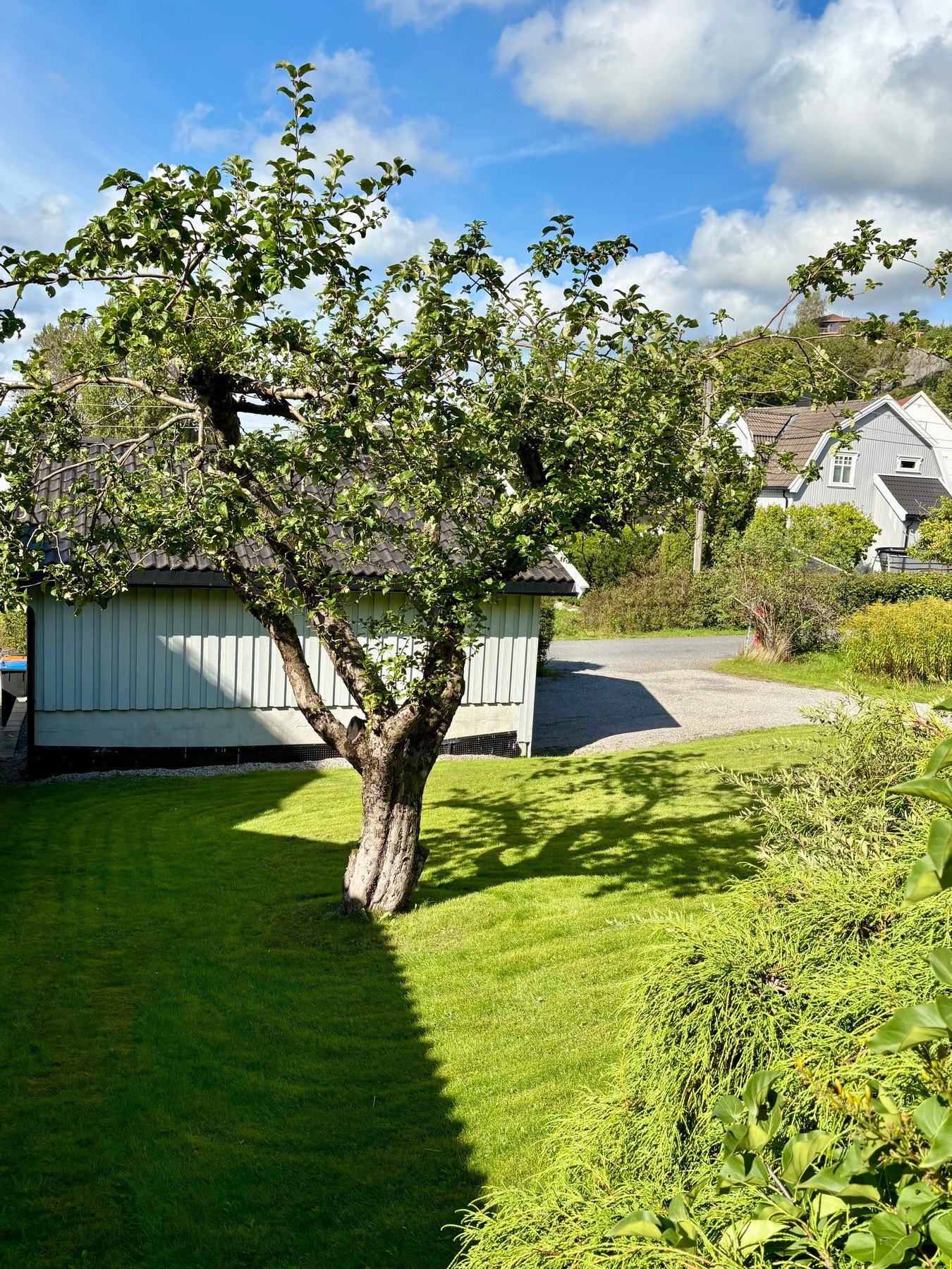 Selgers eget bilde fra sommerstid. Herlig hagetomt, perfekt for lek og moro for de minste Galleribilde