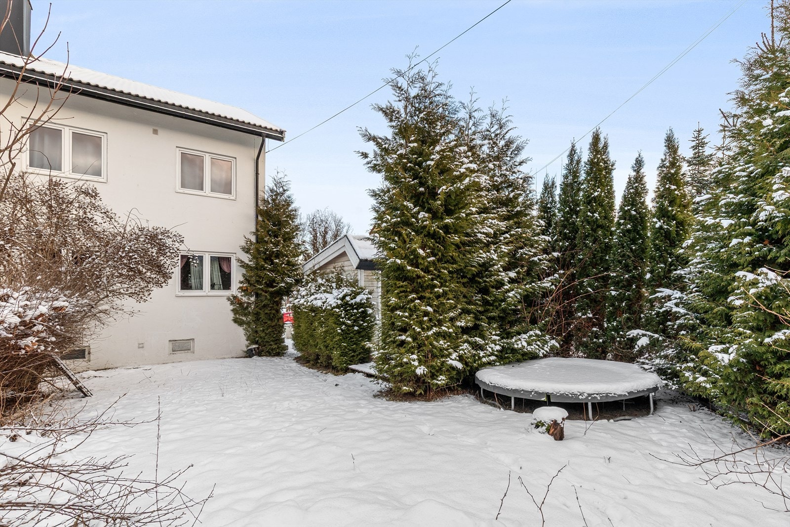 Skjermet hage bak boligen Galleribilde