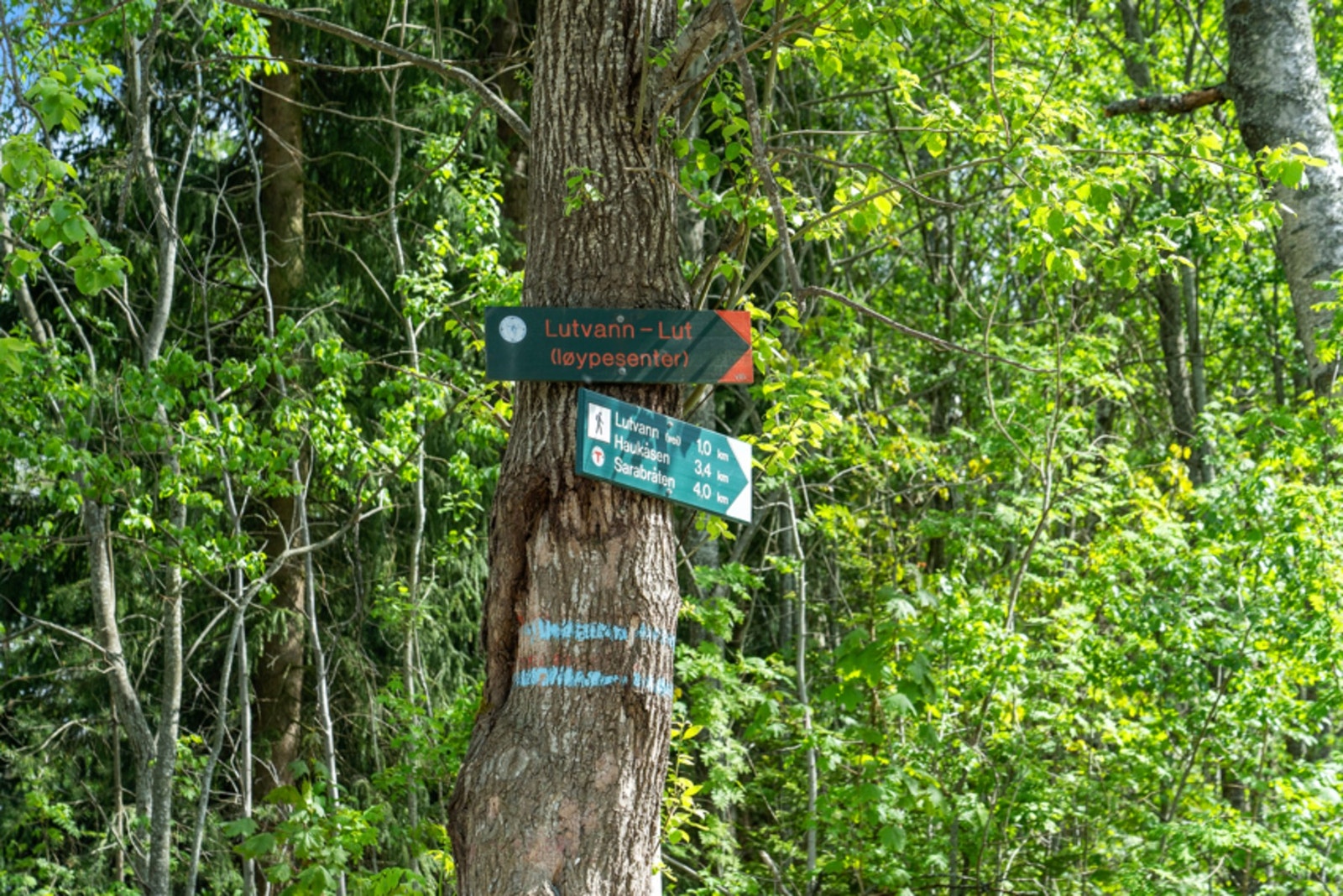 Velkommen til hyggelig visning nært naturskjønne omgivelser. Bilder Ohshot. Galleribilde