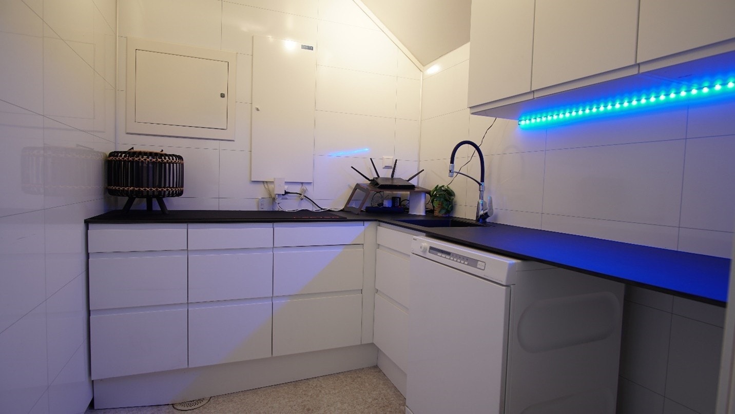 Vaskerom Galleribilde