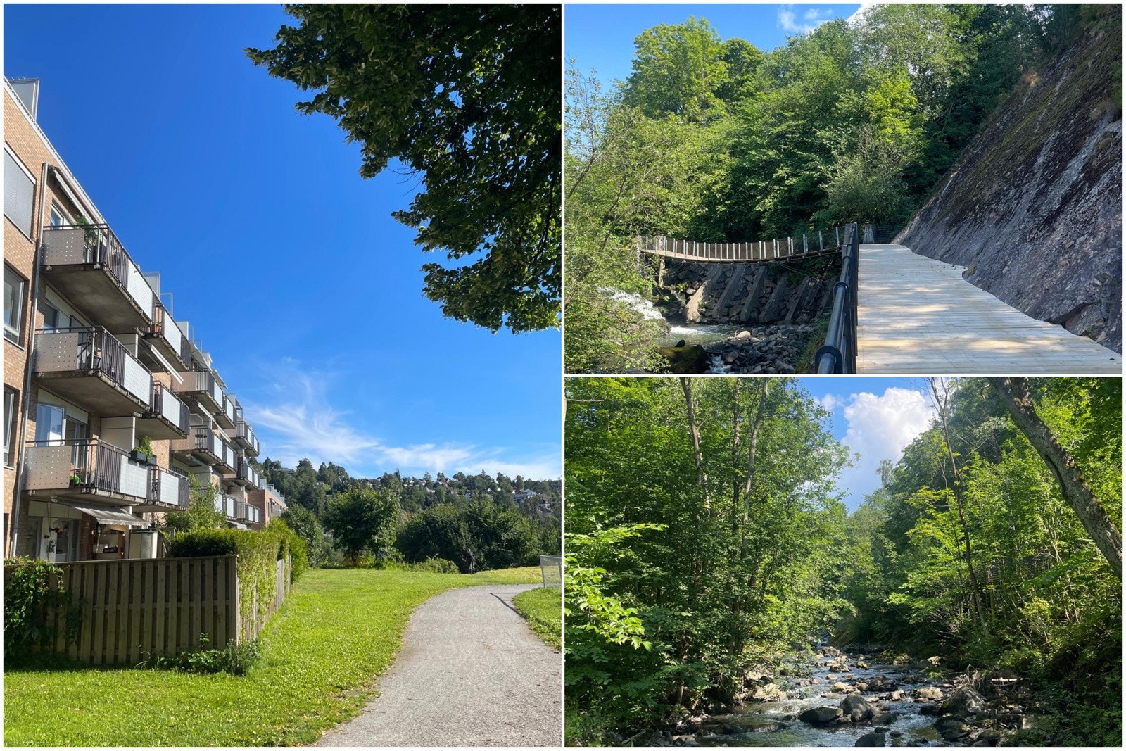 Nabloaget sett sommerstid. Galleribilde