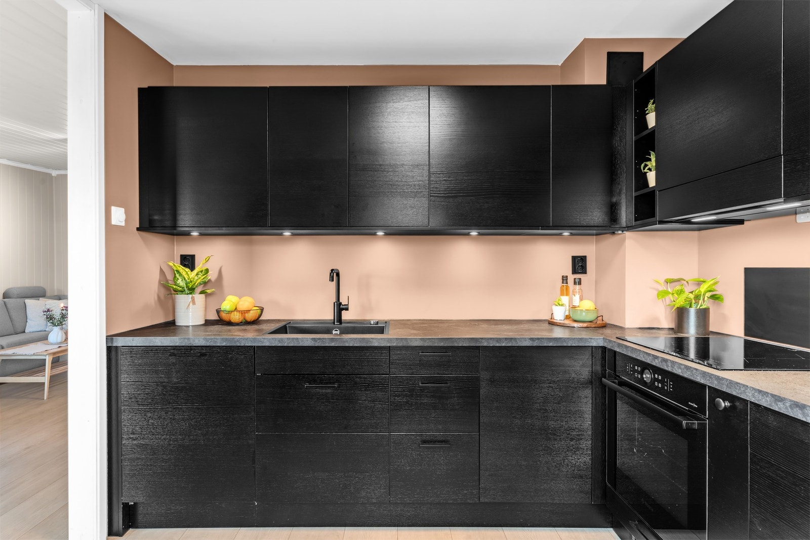 Finerte fronter, laminat benkeplate, underlimt oppvaskkum, ventilator,
glassplate over benk, integrert oppvaskmaskin, kjøl/fryseskap, stekeovn og induksjon platetopp.
Waterguard med lekkasjestopp er montert. Galleribilde