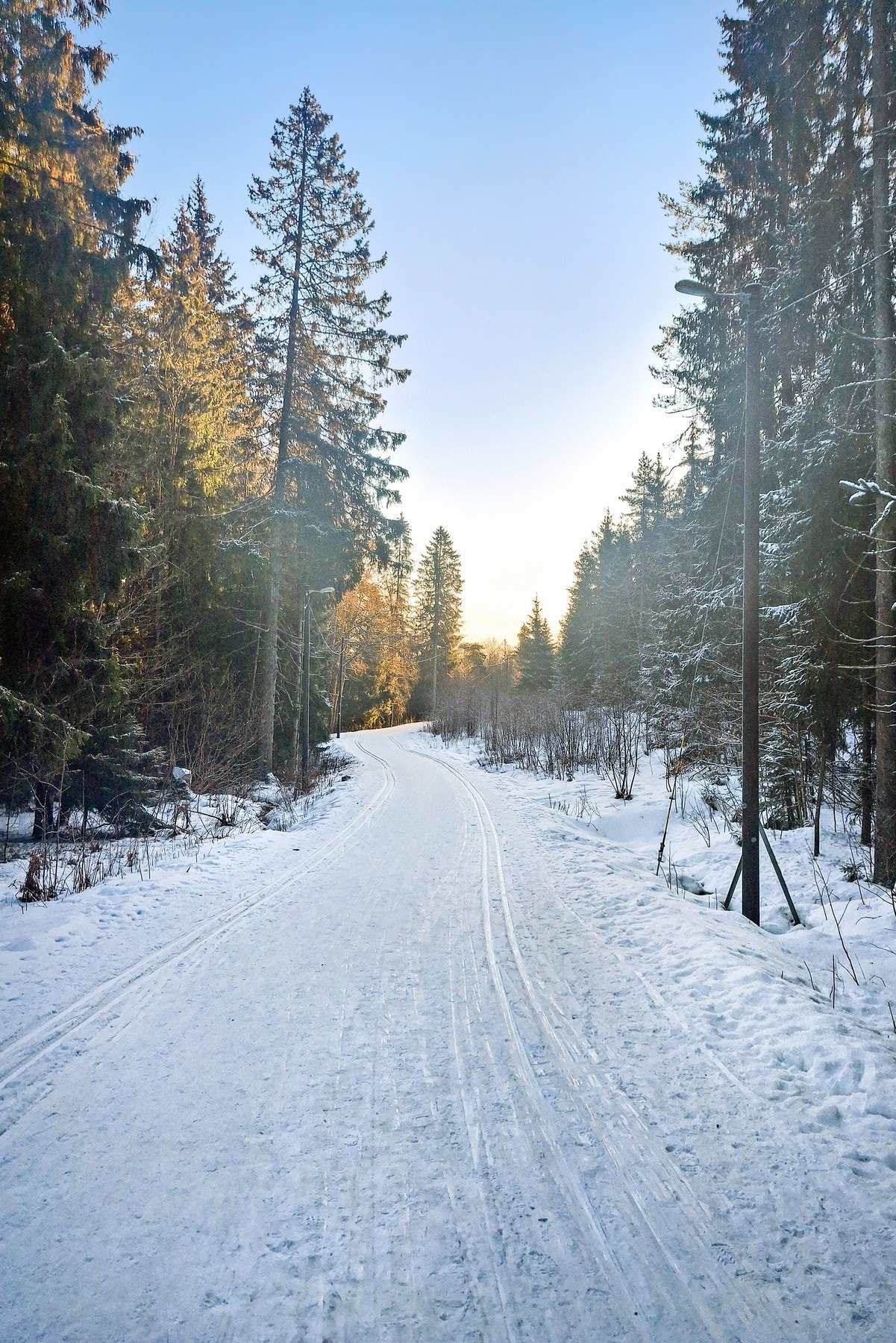 1-2 minutter fra inngangspartiet kan du spenne på deg skiene og gå på ski i preparerte løyper, med og uten lys Galleribilde