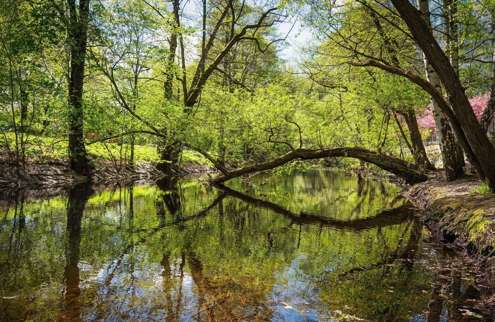Med Akerselva som nærmeste nabo har du tilgang til flotte tur- og rekreasjonsområder. Galleribilde