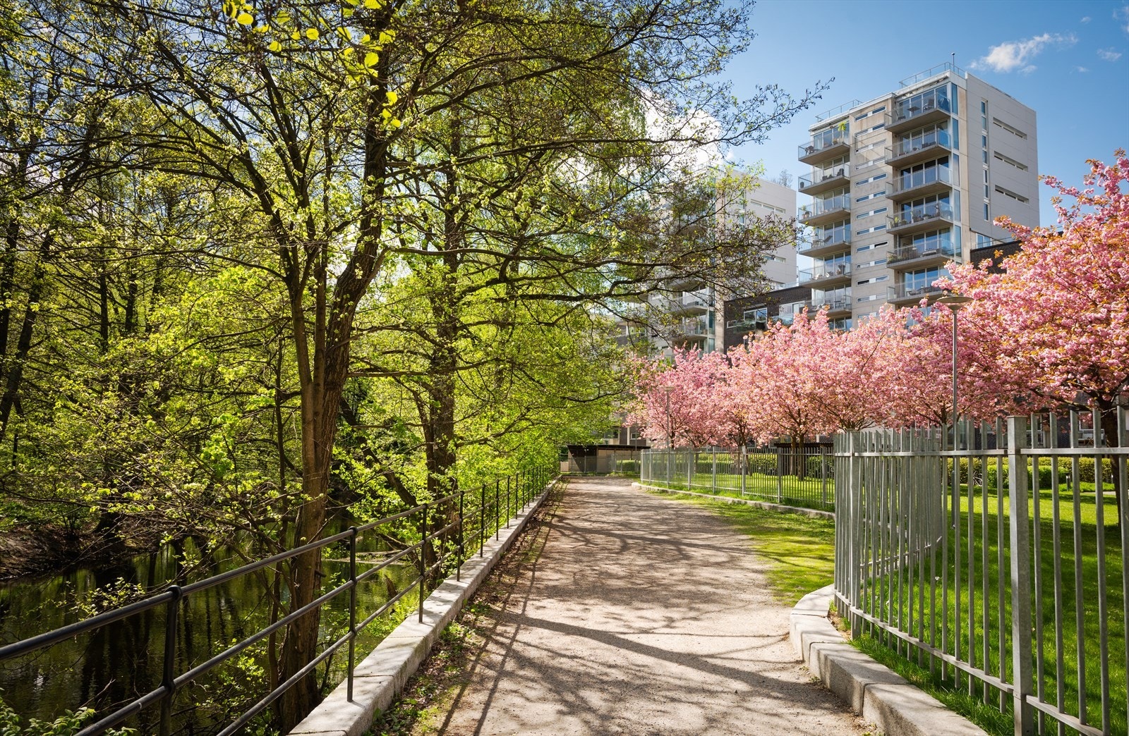 Turstien langs elven er ideell for gåturer, jogging og sykling. Galleribilde