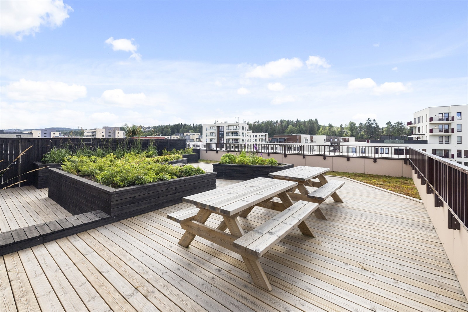 Takterrasse Galleribilde
