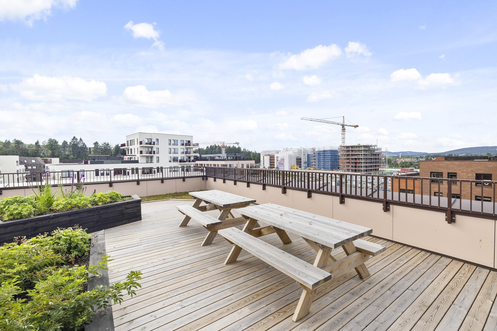 Takterrasse Galleribilde