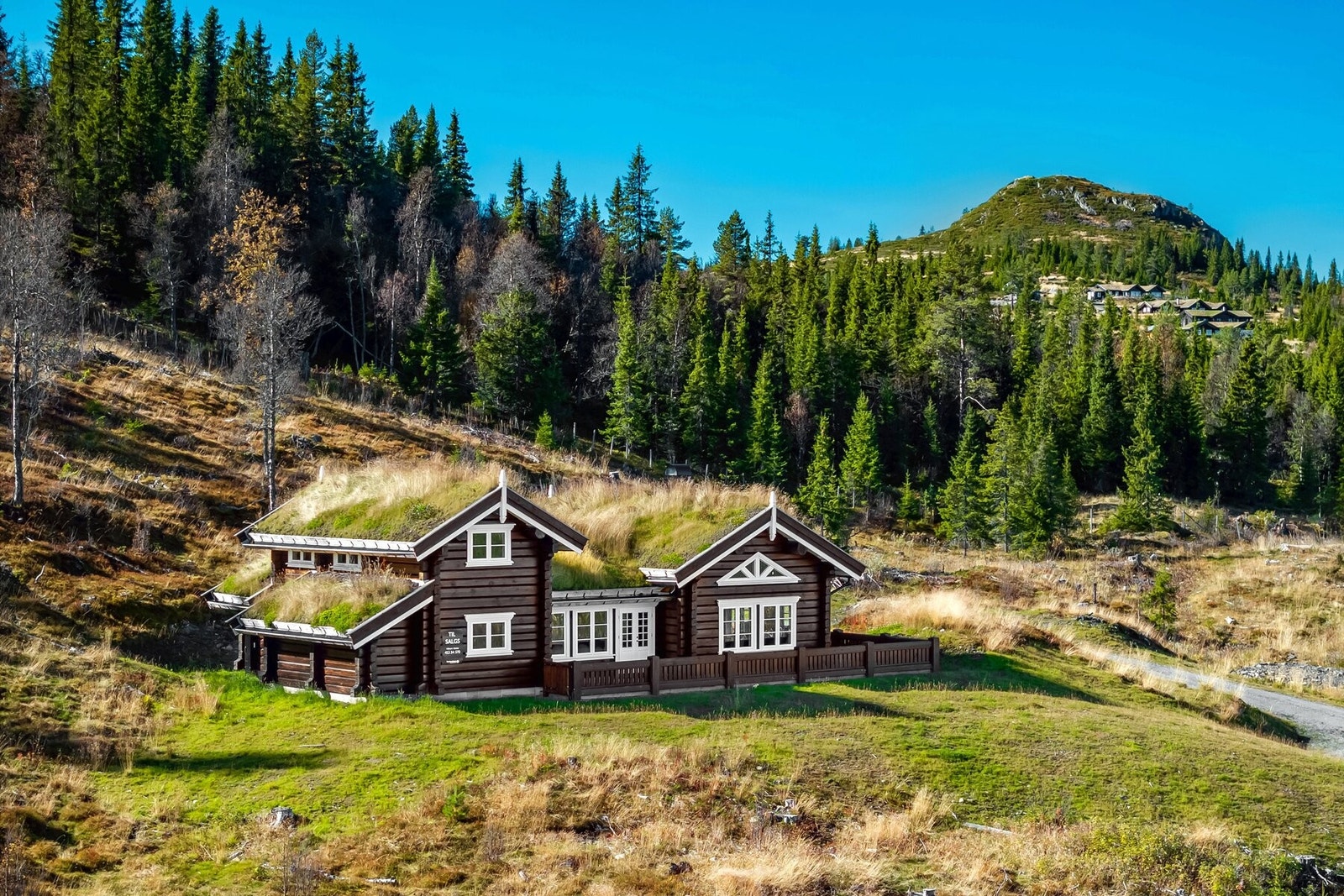 I bakgrunnen av hytta ligger Syningen - en fin liten topptur for hele familien. Galleribilde