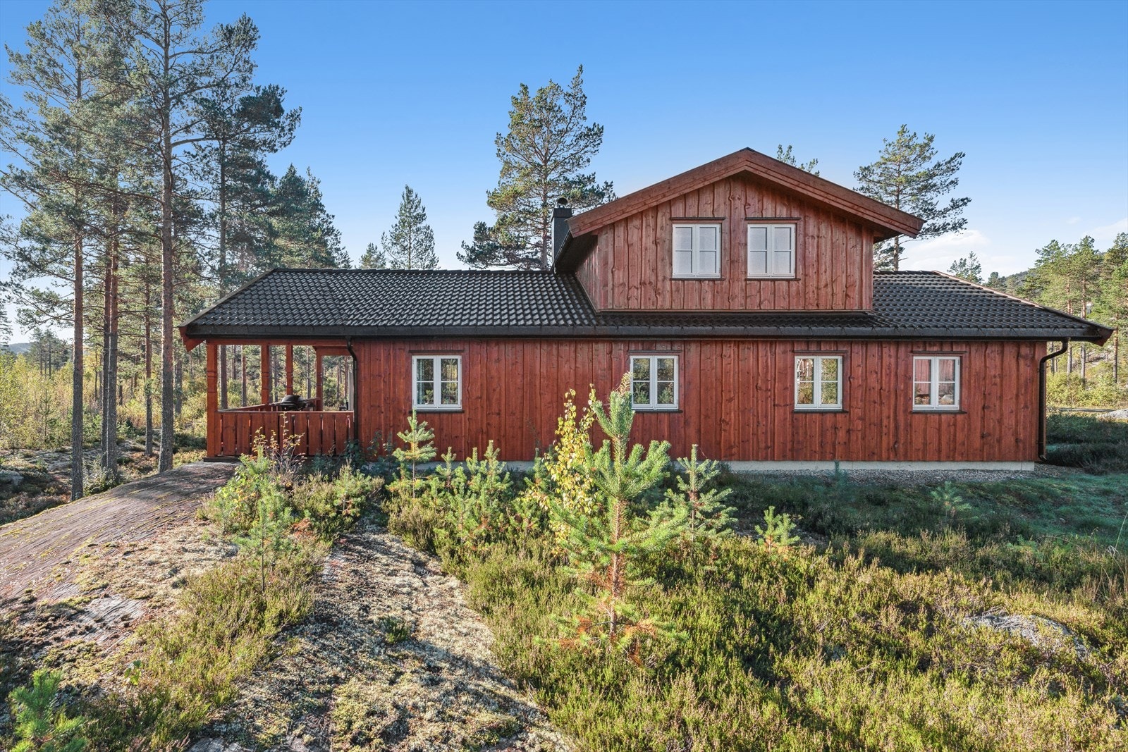 Eiertomt - naturtomt med trær, lyng og steinberg. Galleribilde