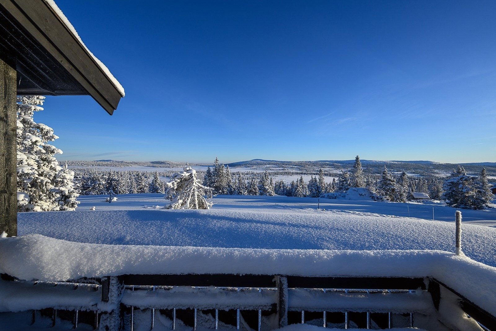 Flott utsikt! Galleribilde