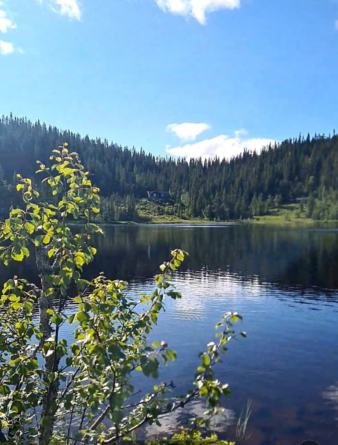 Selgers private bilde - Nedre Damtjønn, 15 min gange fra hytta. Galleribilde