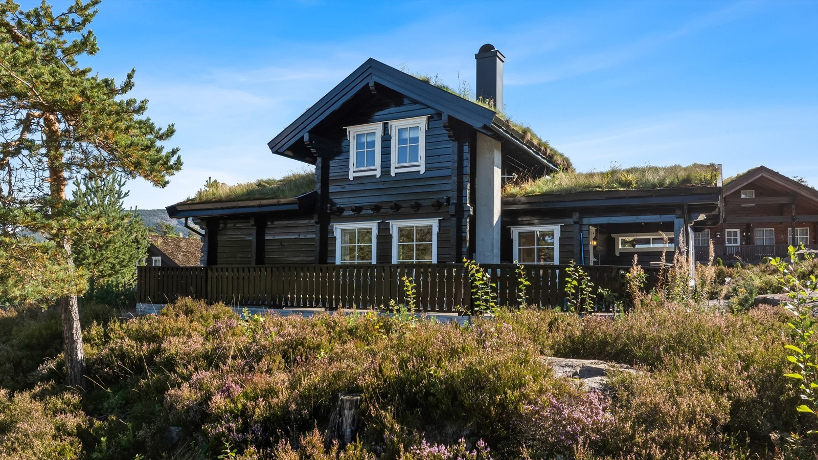 Naturtomt Galleribilde