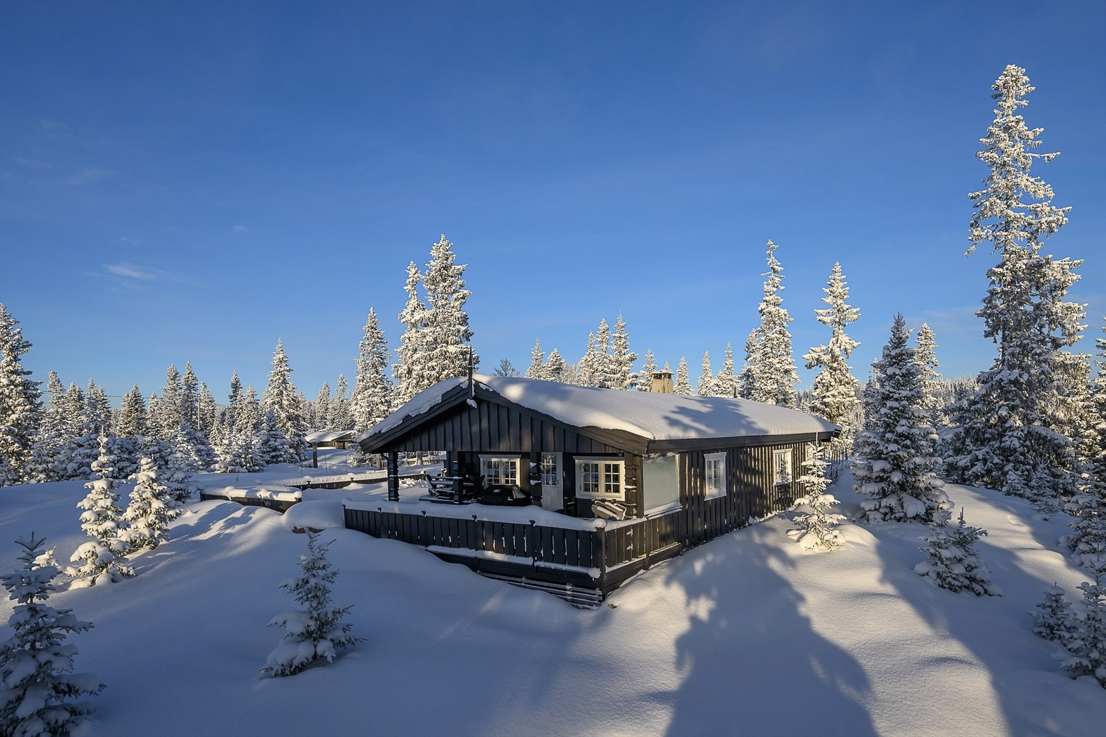 Fritt og fint og forholdsvis åpent terreng rundt hytta. Galleribilde