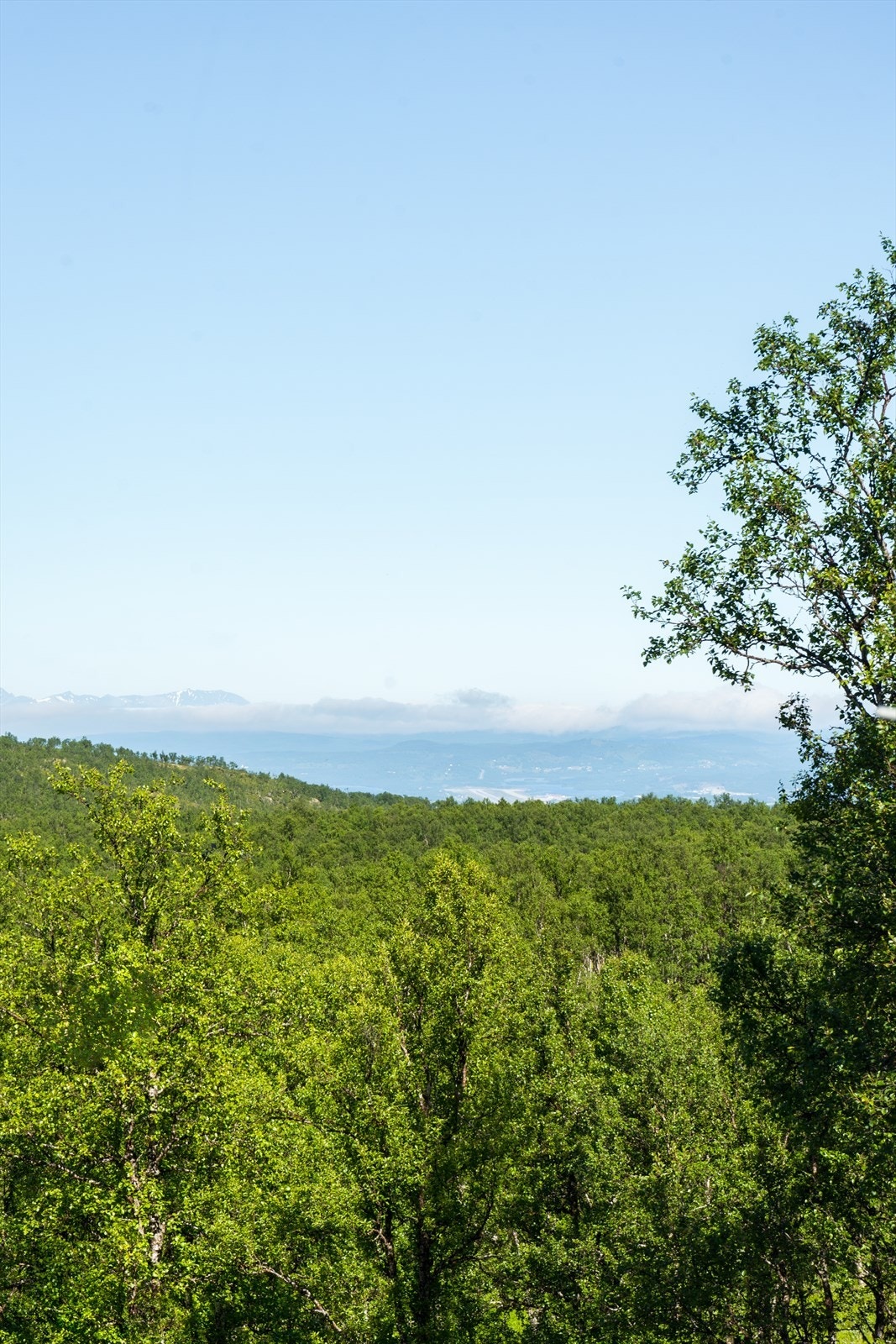 Flott utsikt rett ut soveromsvinduet Galleribilde