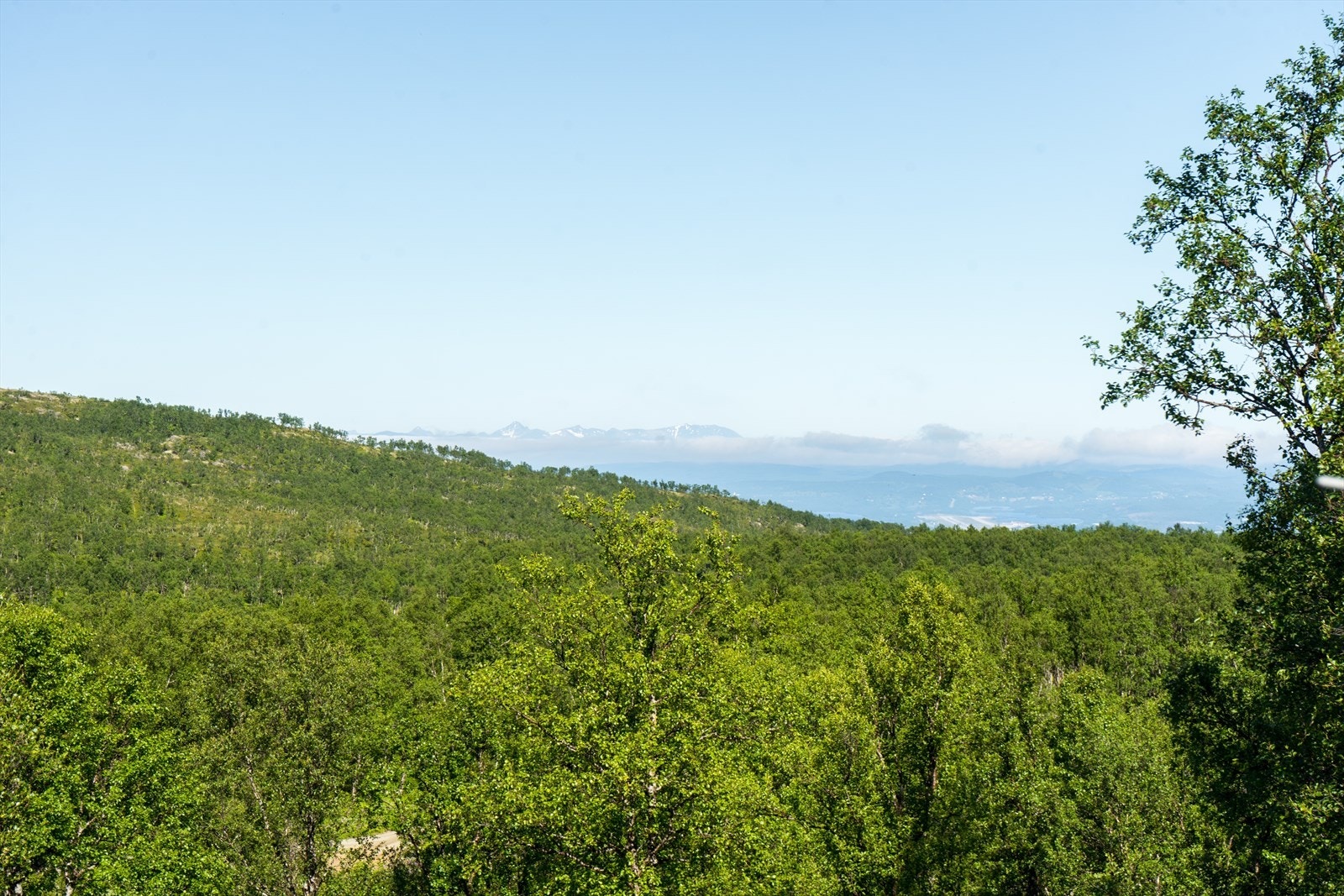 Fantastisk utsikt til vakker natur fra stue Galleribilde