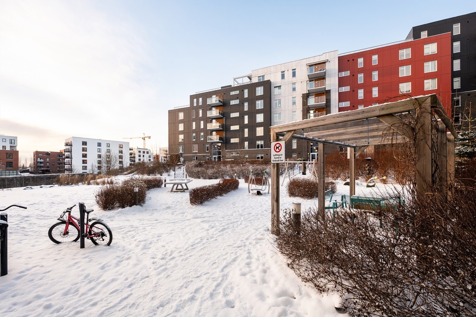 Fellesgårdsrom er utstyrt med sittegrupper, pergola, og hyggelig beplantning på sommerstid. Galleribilde