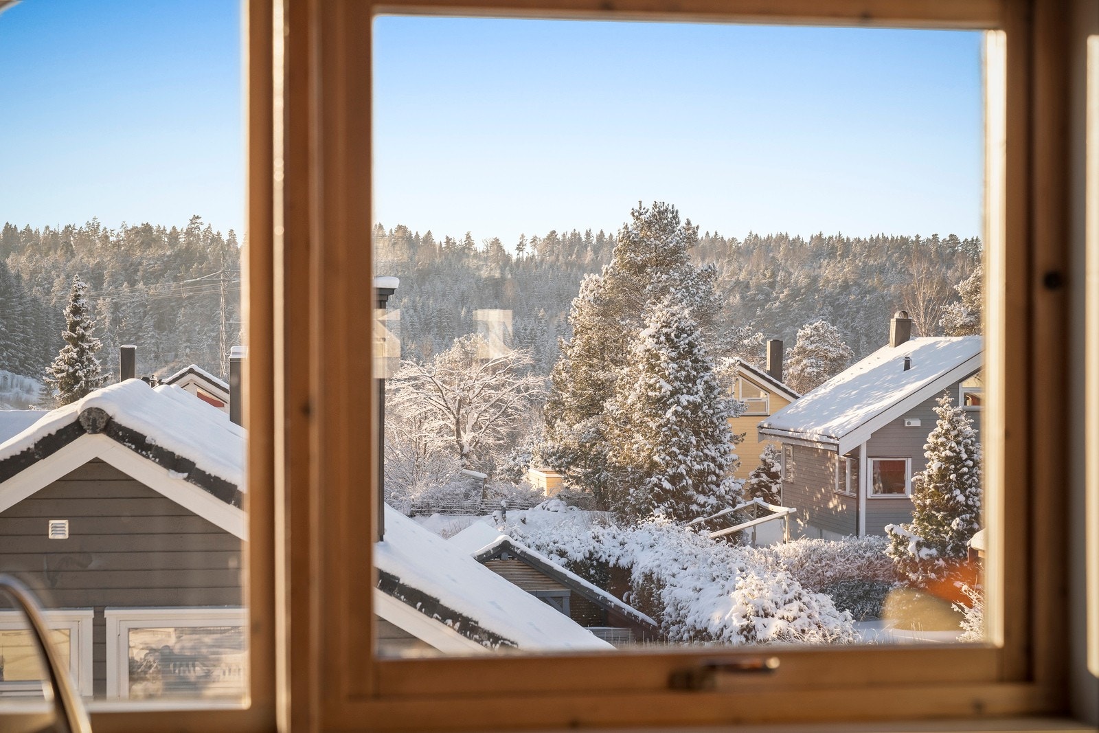 Utsyn fra hemsen. Galleribilde