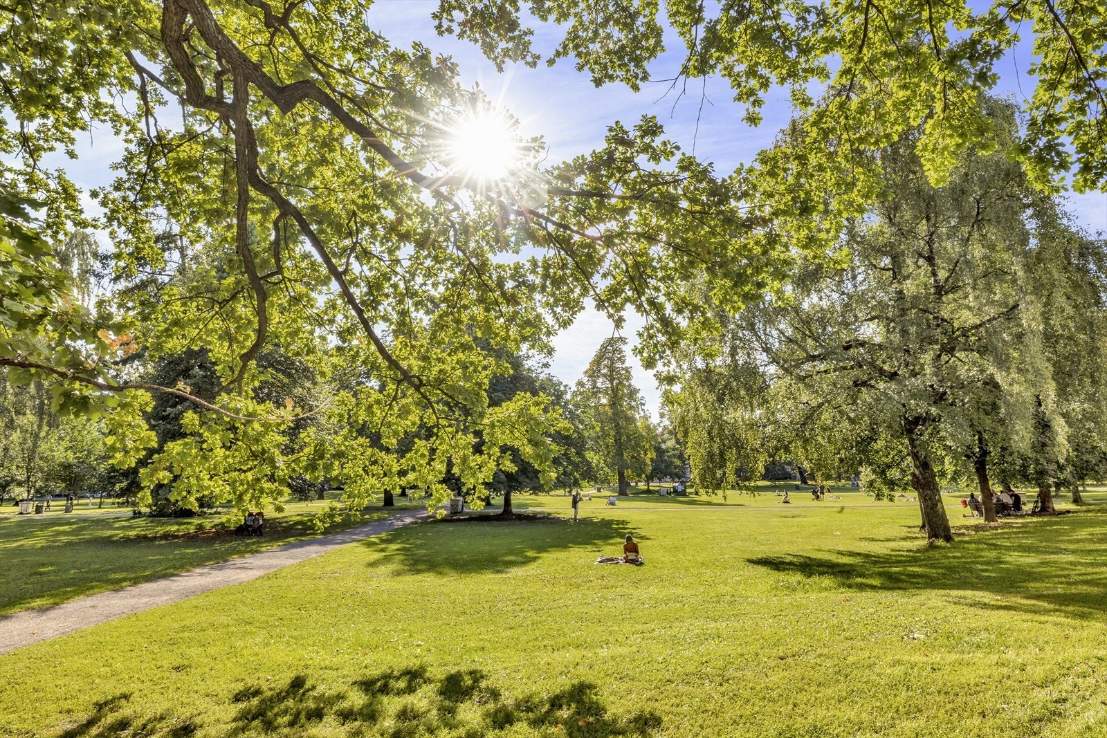Sofienbergparken ligger rett ved leilighet. Her finner man stor gressplen, trær, lekeplasser m.m. Galleribilde