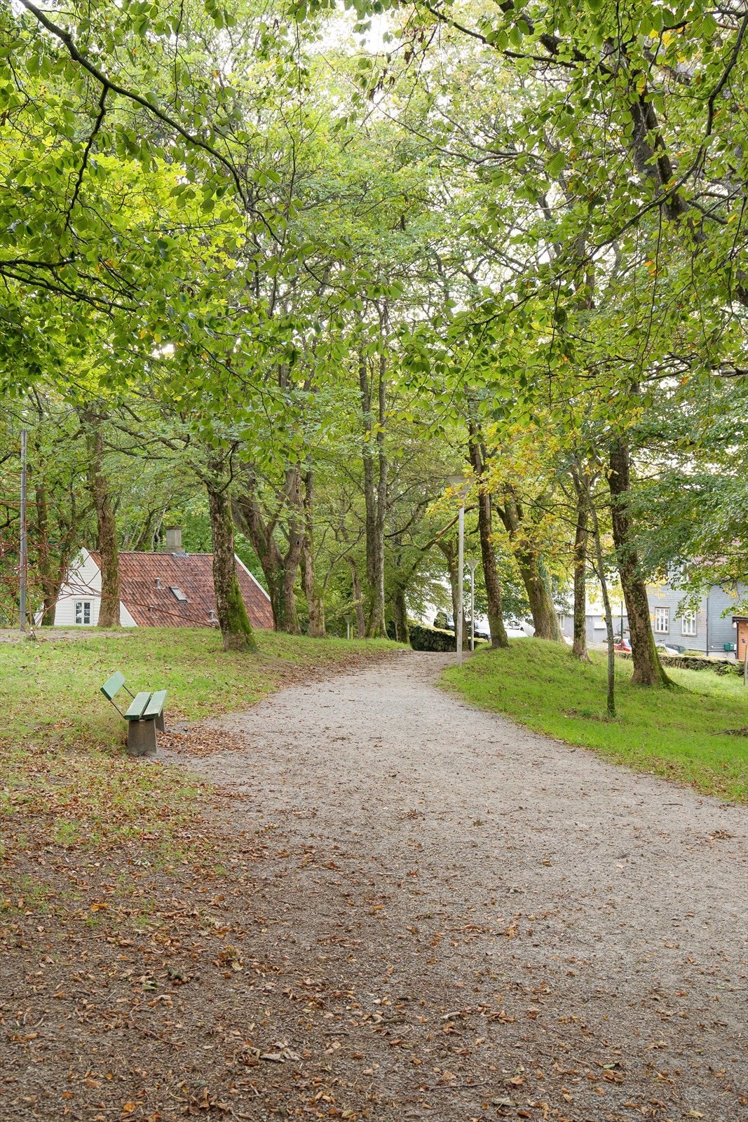 Nærmiljø. Galleribilde