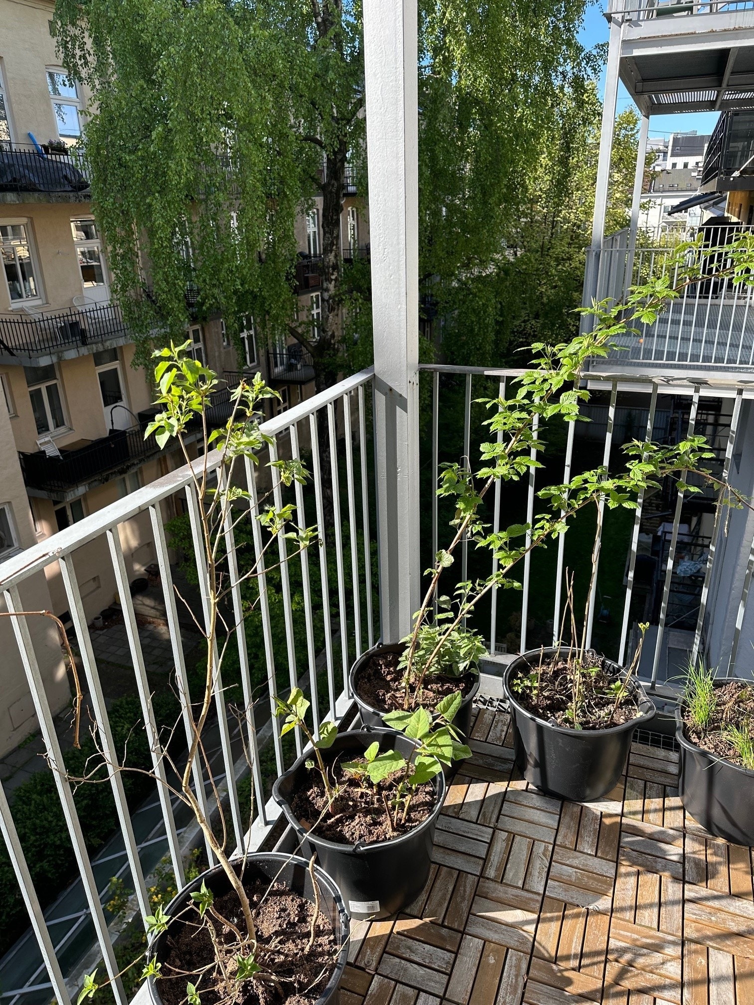 Tilgang til balkong Galleribilde