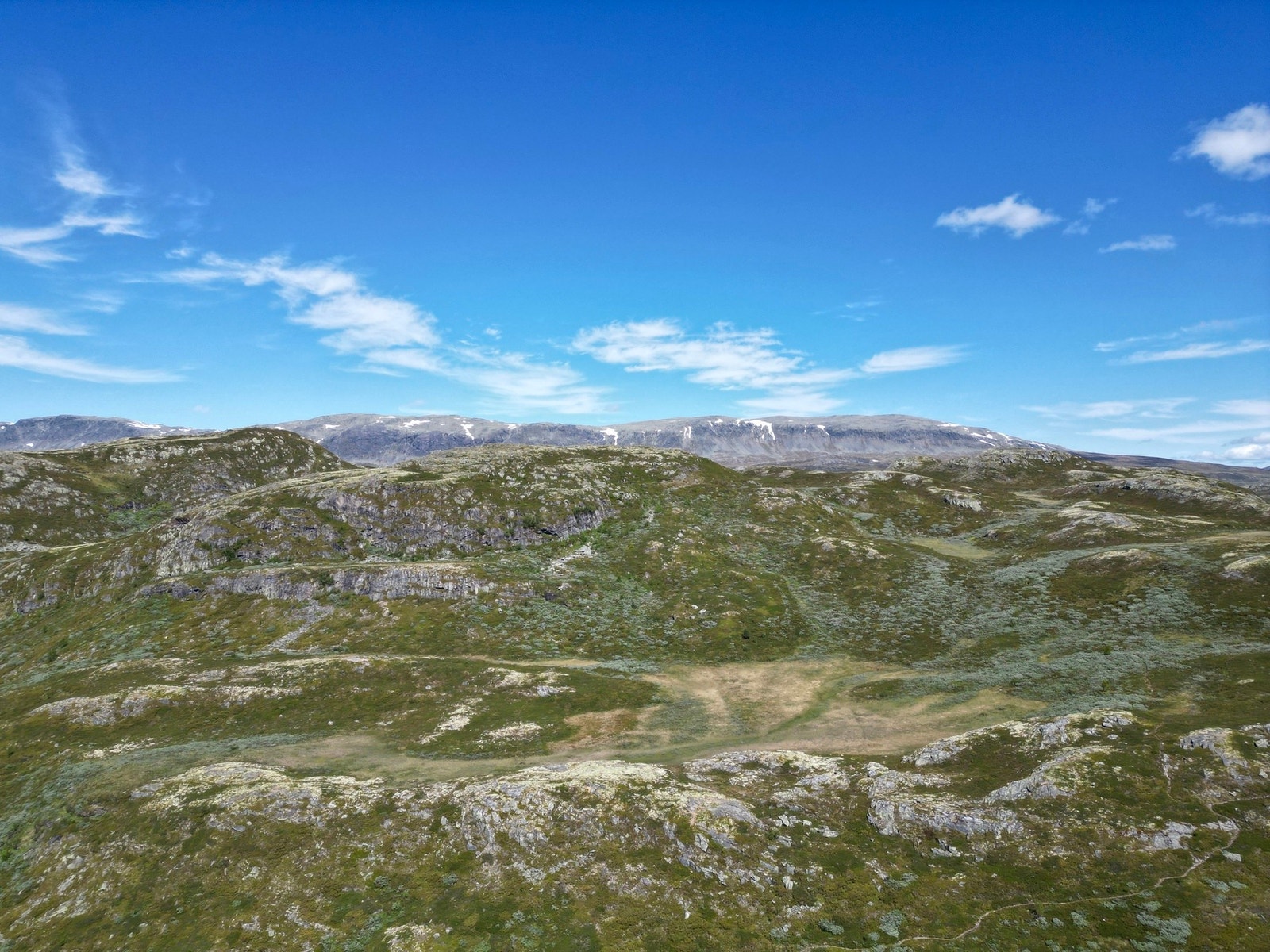 Reineskarvet i bakgrunn Galleribilde