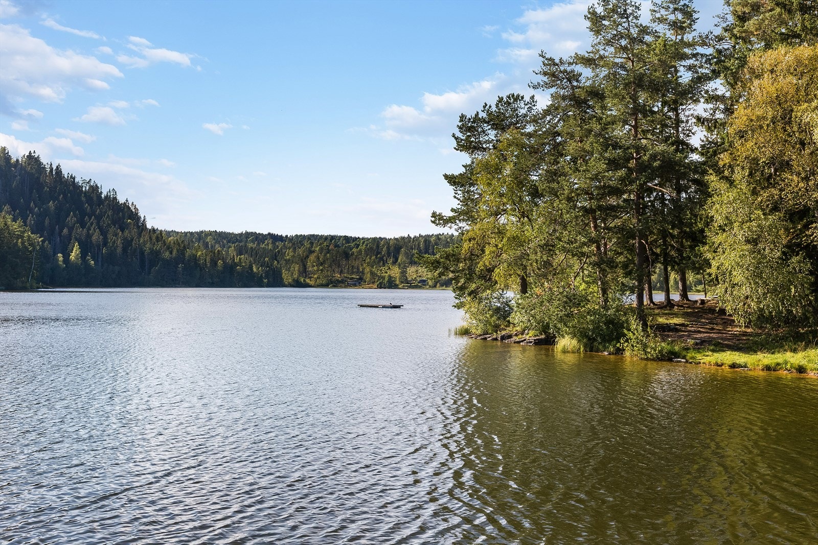 Nærhet til Stordammen som er en flott badeplass på sommerstid - samt flotte turmuligheter videre inn i marka Galleribilde