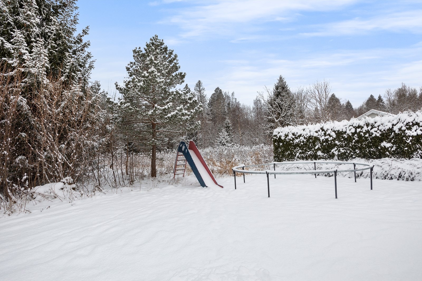 Stor og skjermet hage Galleribilde