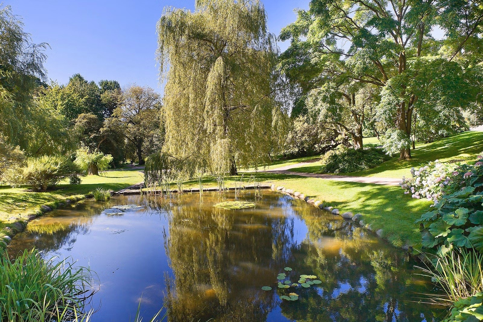 Grønne omgivelser rett utenfor døren, med Botanisk hage, Tøyenparken og Akerselva i umiddelbar nærhet Galleribilde