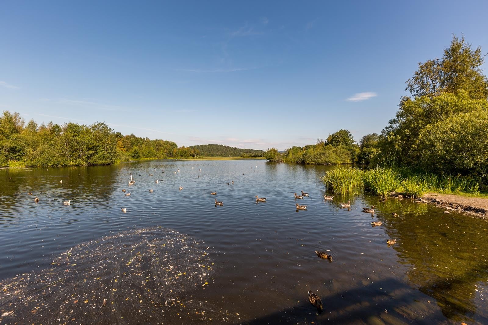 Få minutters gange til Østensjøvannet Galleribilde