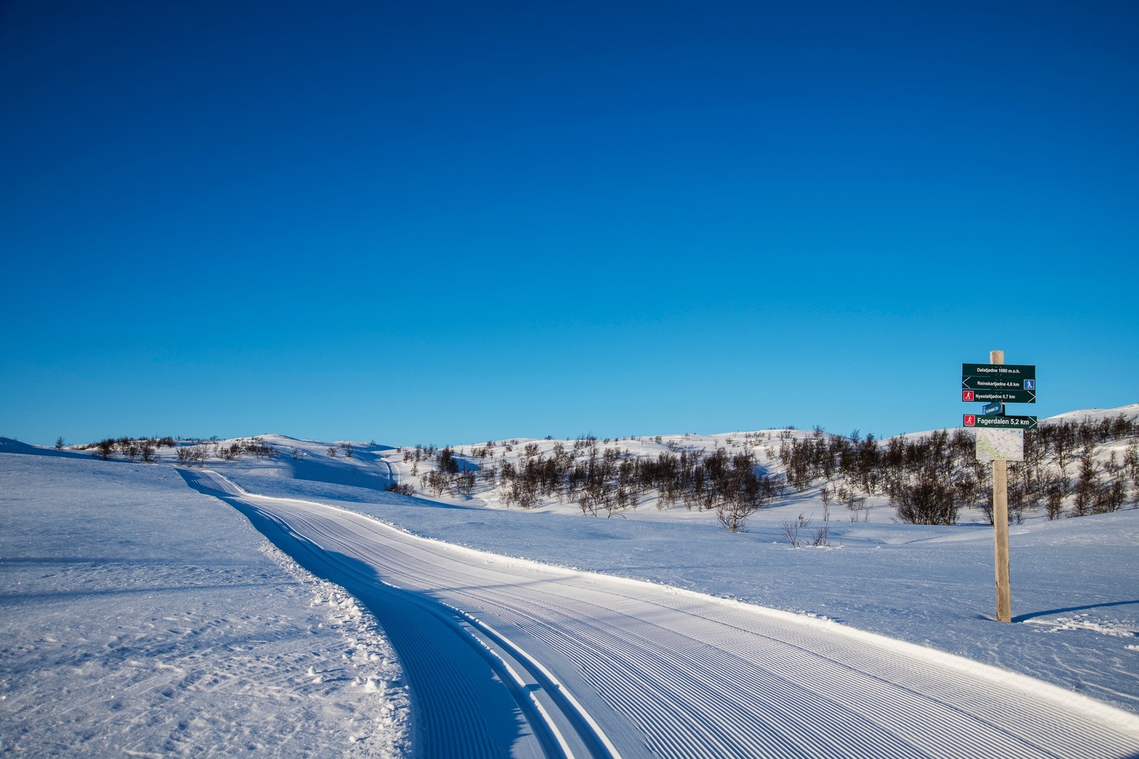Skiløype innover fra Sisseldalen Galleribilde