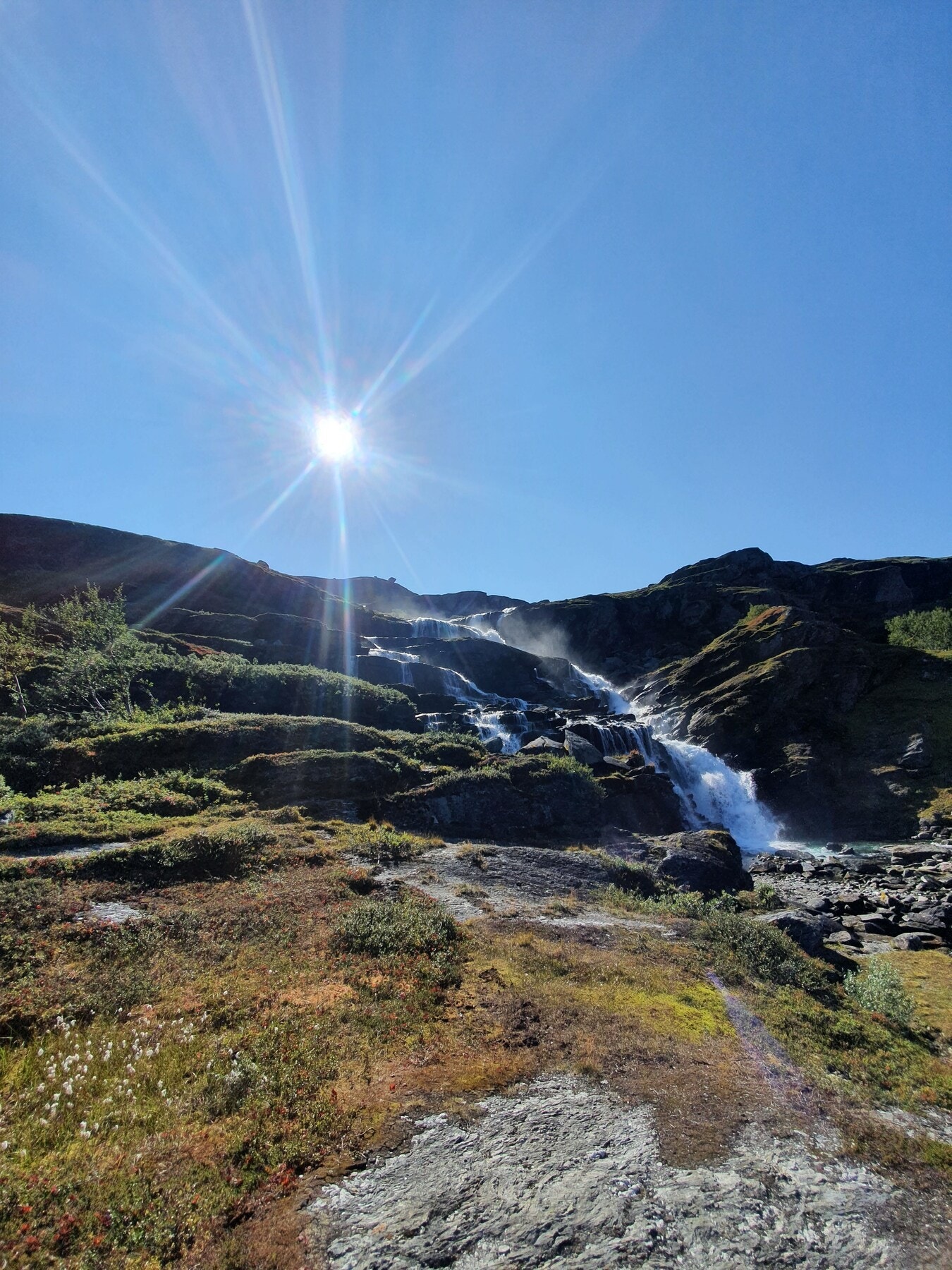 Fossen Skarvåga Galleribilde