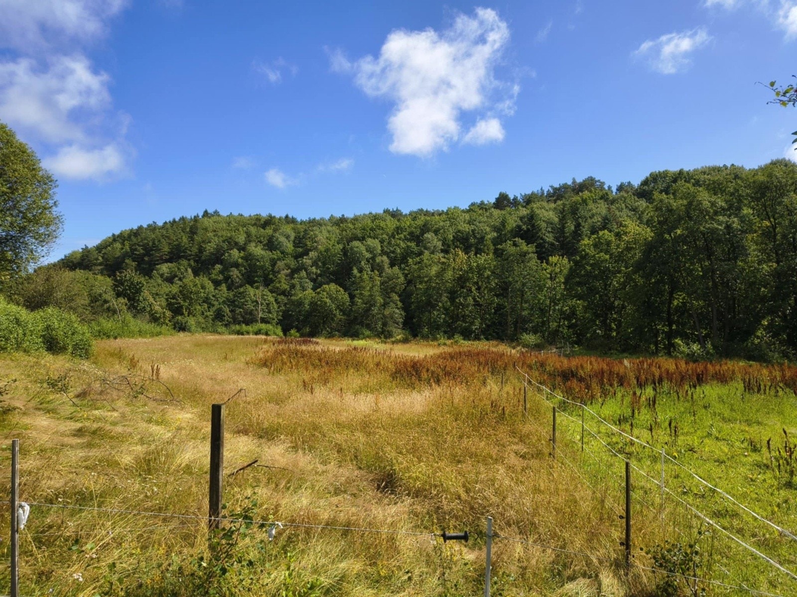 Idyllisk jorde for evt. beite rett ved Søgneelva Galleribilde