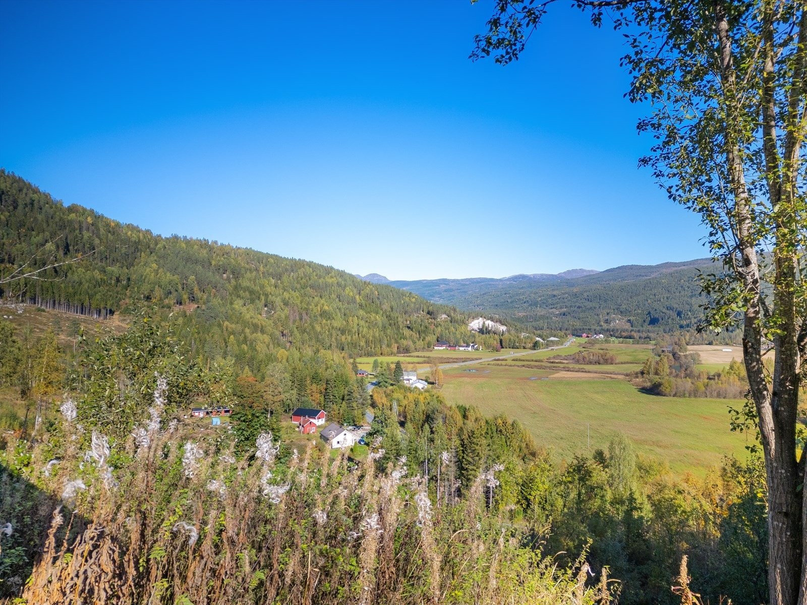 Fra eiendommen er det ca. 7 km. til Eggedal sentrum med butikker og servicetilbud. Galleribilde