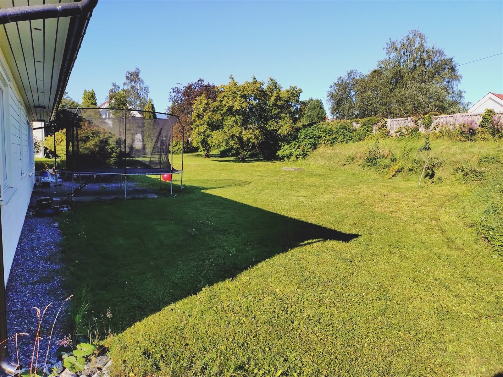 Selgers egne bilder. Galleribilde