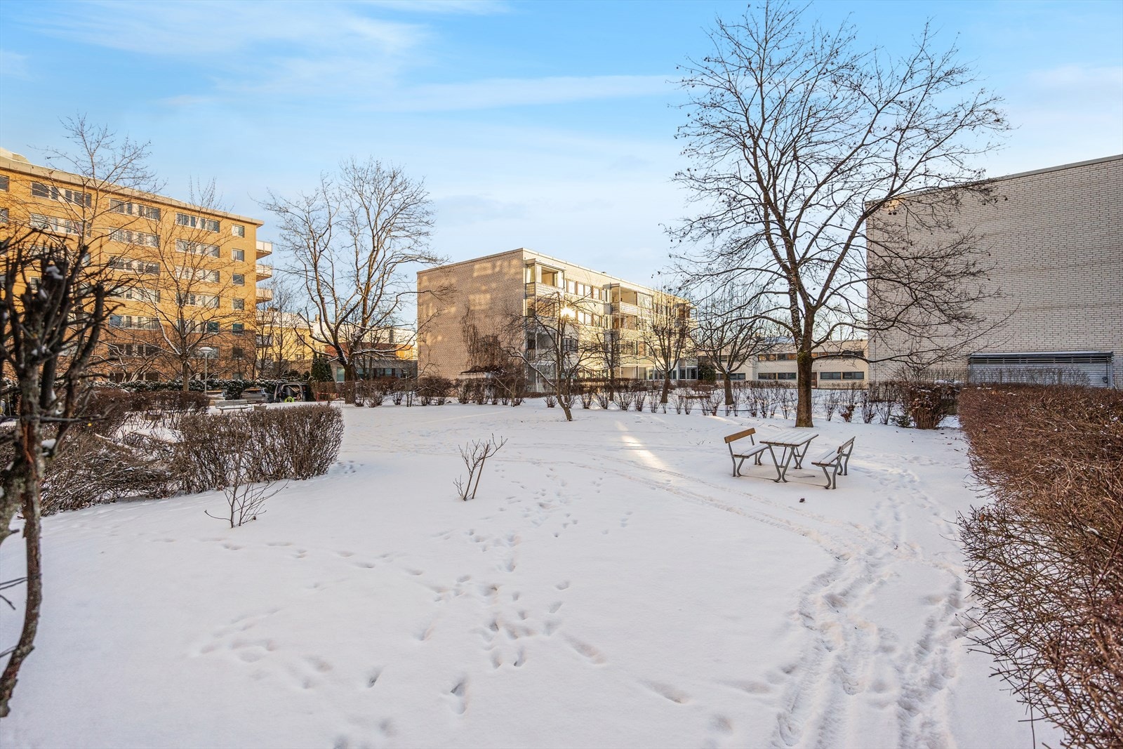 Bakgåd. Galleribilde