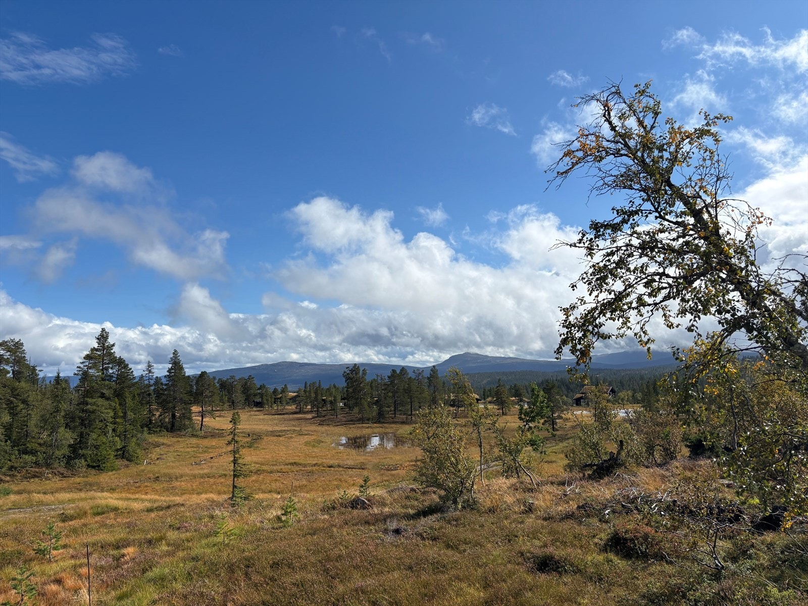 Privat bilde Galleribilde