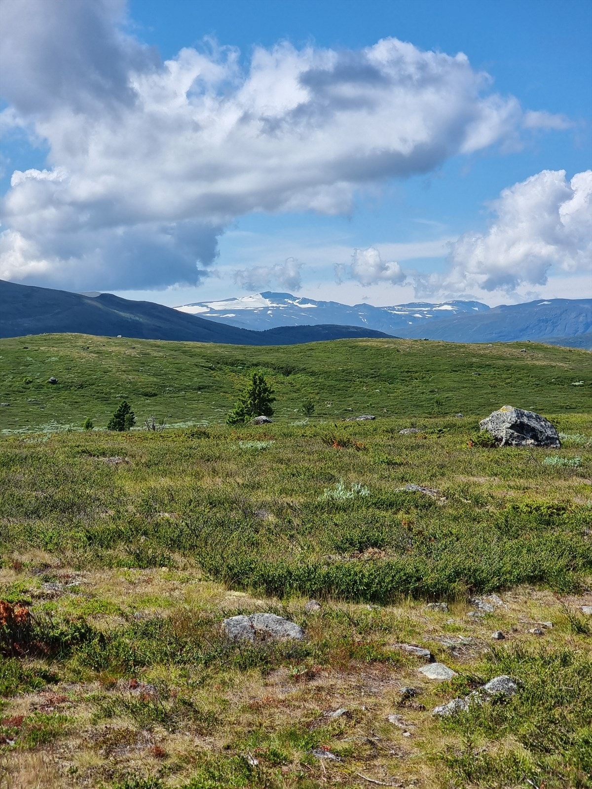 Flotte turmuligheter i området. Galleribilde