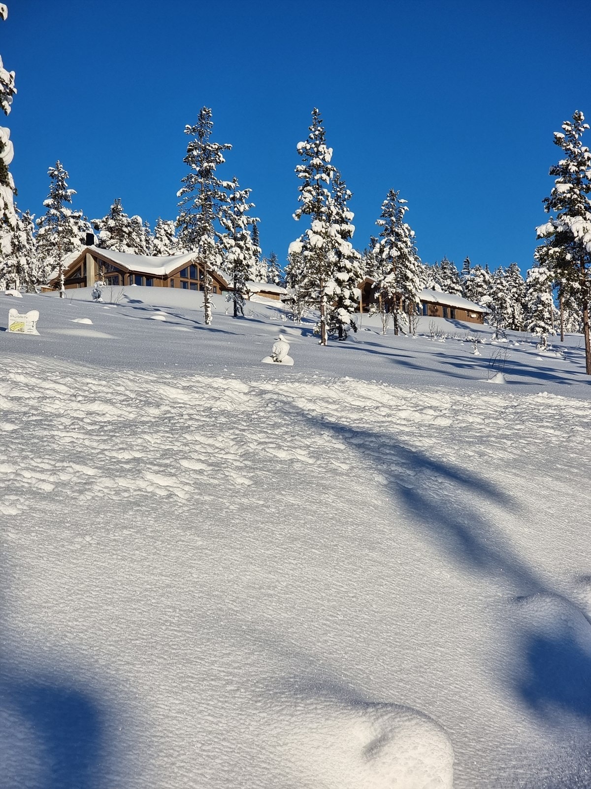 Fra vegen som går inn til området. Galleribilde