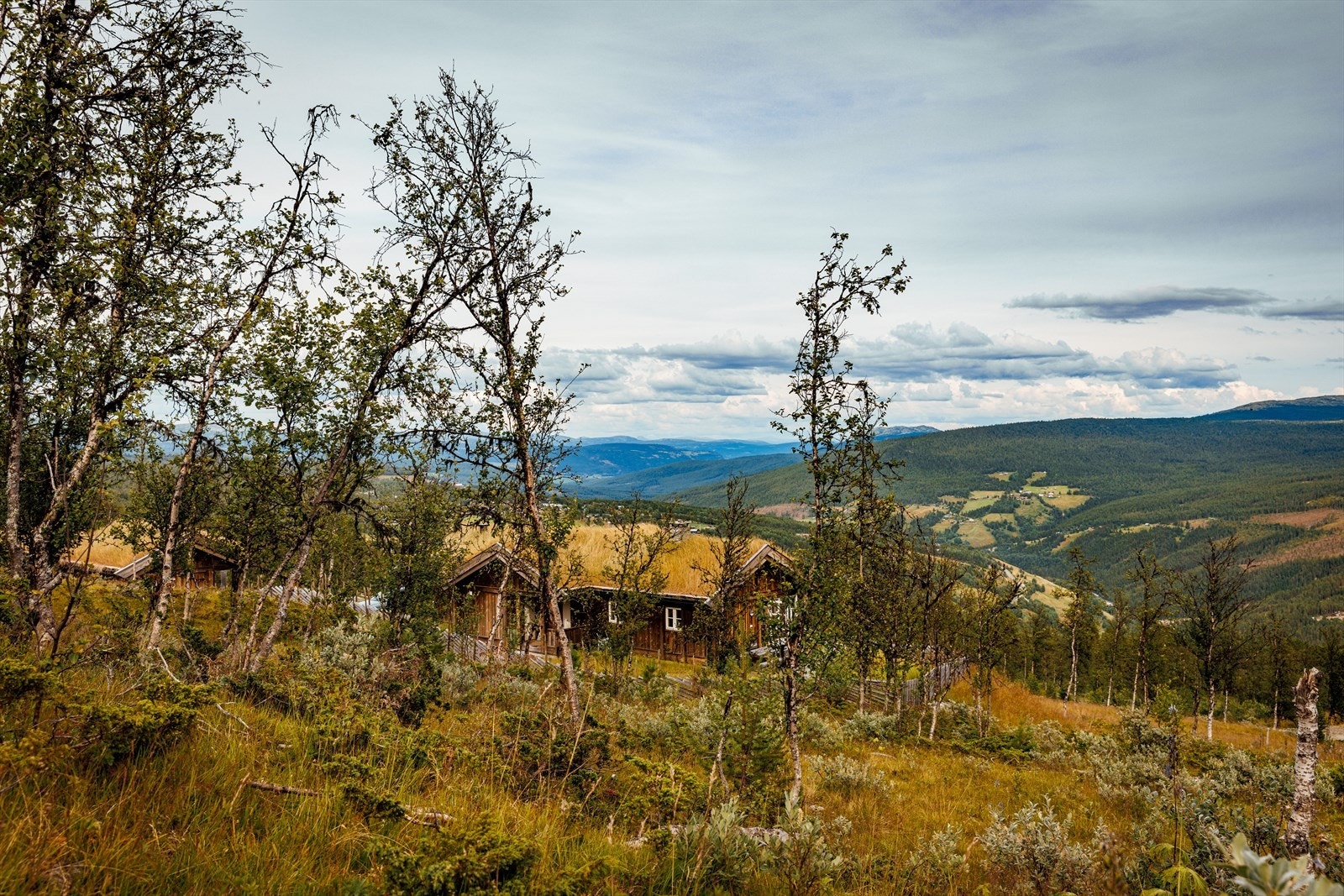 På sommerstid byr området på et bredt utvalg av turmuligheter for både store og små, i tillegg til flotte fjellområder som er ypperlige for jakt og fiske Galleribilde
